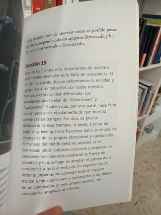 Meditar día a día: 25 lecciones para vivir con ...