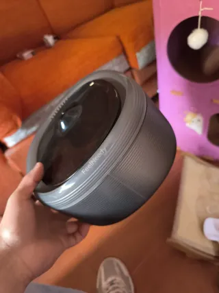 Rascador y cama para gato