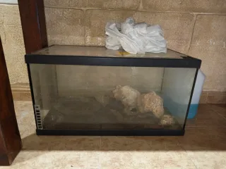 Acuario con rocas y decoración