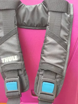 Thule RideAlong Naranja Silla Bicicleta