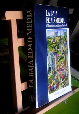 LA BAJA EDAD MEDIA