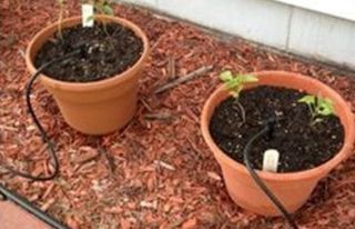 ¡Hola!  Soy un manitas serio y responsable