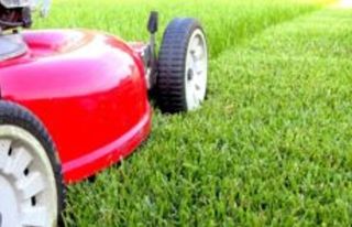 ¡Hola!  Soy un manitas serio y responsable