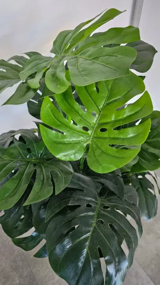 Planta Monstera Artificial Decorativa con maceta