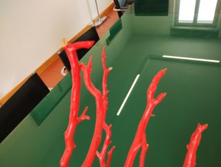 Oggetto decorativo in legno ramificato rosso