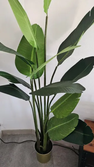 Planta Ave del Paraíso Artificial 190 cm