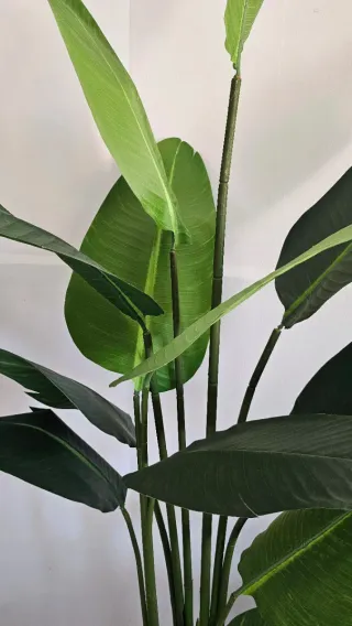 Planta Ave del Paraíso Artificial 190 cm