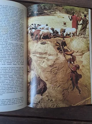 Mundos Primitivos.  National Geographic Society.