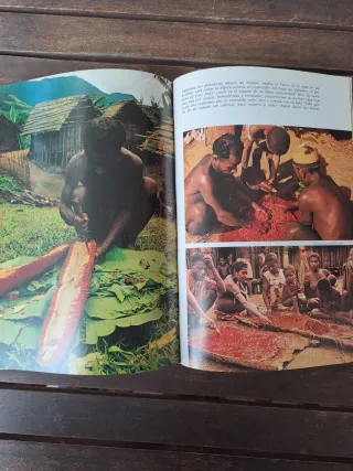 Mundos Primitivos.  National Geographic Society.