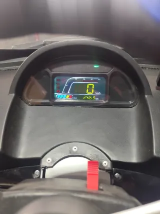 chino eléctrico  2010