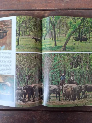 Australia. National Geographic Society.