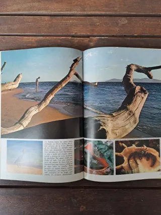 Australia. National Geographic Society.