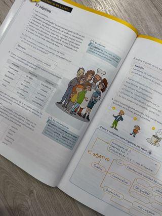 Libro Lengua 5 Primaria (Anaya)