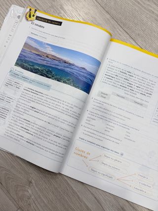 Libro Lengua 5 Primaria (Anaya)