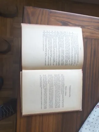 Lote de dos libros de ortografía