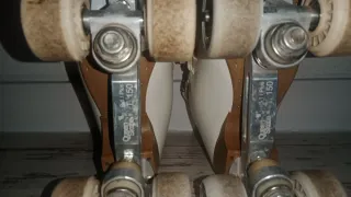 Patines profesionales Edea 252