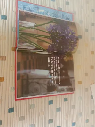 Mi lugar en el mundo eres tú (Fuera de colecció...