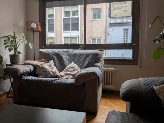 Sofá 2 plazas gris amarronado