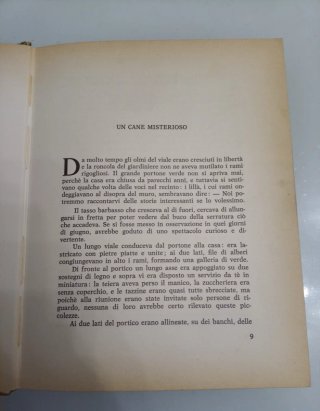 Sotto i fiori di lillà romanzo per ragazzi Alcott