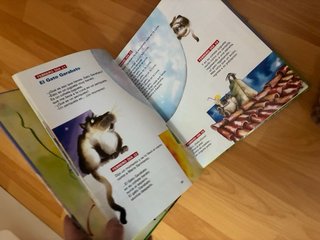 365 días con animales. Gloria Fuertes (Spanish ...