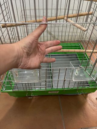 Jaula grande para loro