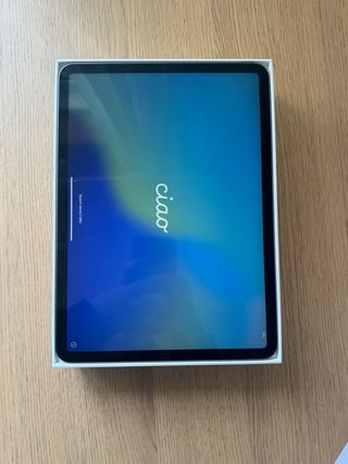 iPad Pro 11 Wi-Fi Plata 256gb