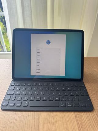 iPad Pro 11 Wi-Fi Plata 256gb