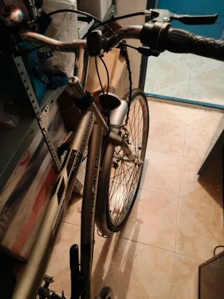 Bicicleta Thabor Optimalp Serie 285