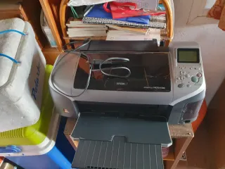 Impresora Epson Stylus Photo R300