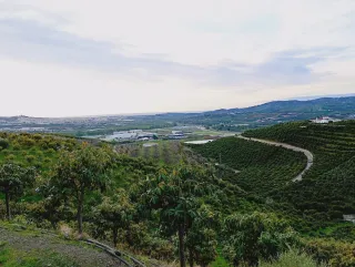 Finca con casa y almacén