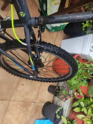 Bicicleta de montaña