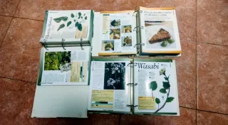 Los secretos de la plantas (Colección)