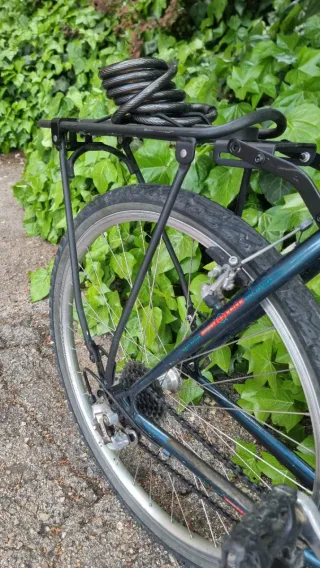 Bici Montaña Rockhopper 90s