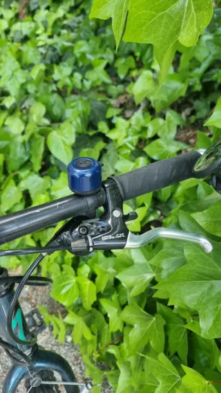 Bici Montaña Rockhopper 90s