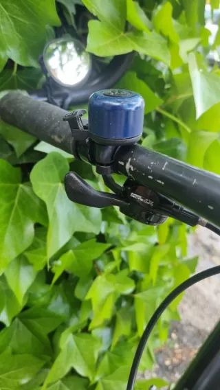Bici Montaña Rockhopper 90s
