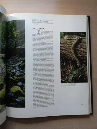 Patrimonio de la Humanidad. National Geographic