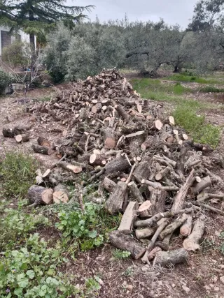Leña de olivo para chimenea