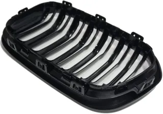 Rejilla Delantera BMW Serie 1 F20/F21