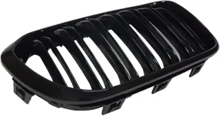 Rejilla Delantera BMW Serie 1 F20/F21