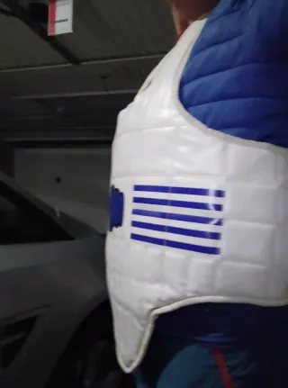 Protector artes marciales puño azul