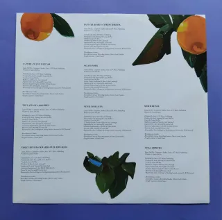 Lana Del Rey Violet Bent Backwards Over The Grass