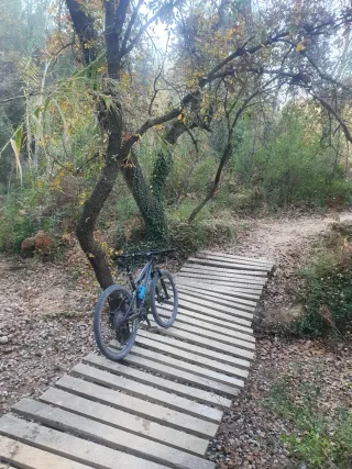 Bicicleta BH lynx 8.0 2022 Talla S