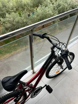 Bicicleta infantil roja