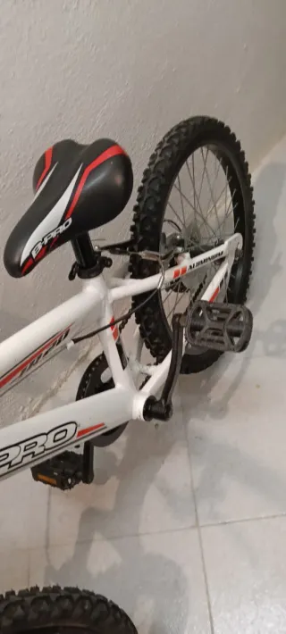 Bicicleta B-PRO 20 pollici