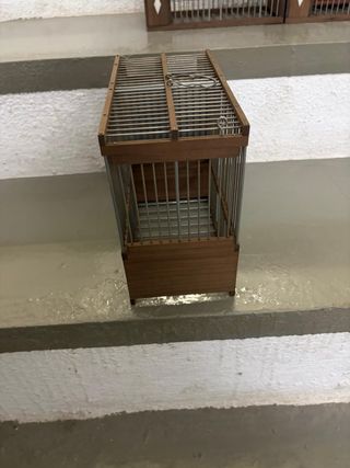 Lote de 4 jaulas para jilgueros