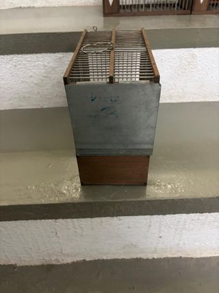 Lote de 4 jaulas para jilgueros