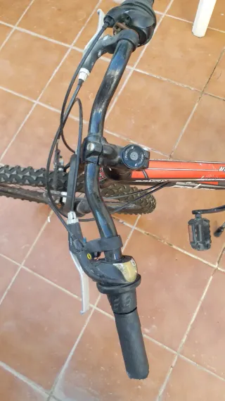 Bicicleta Randy 240