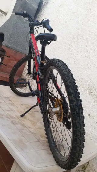 Bicicleta Randy 240