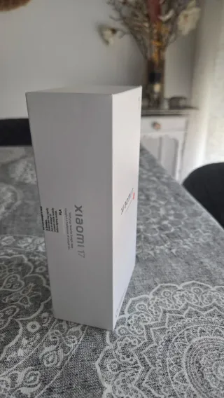 Xiaomi 17