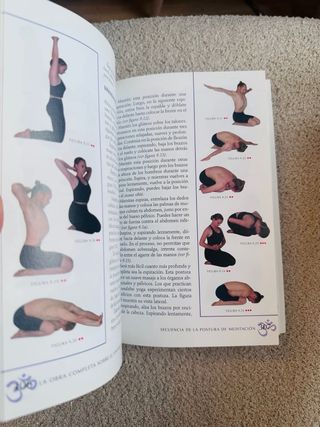 OBRA COMPLETA SOBRE EL VINYASA YOGA